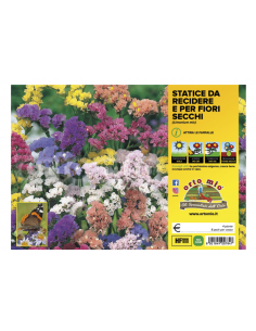 ORTO MIO - FIORI DA...