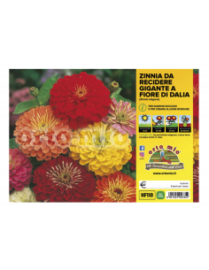 ORTO MIO - FIORI DA...