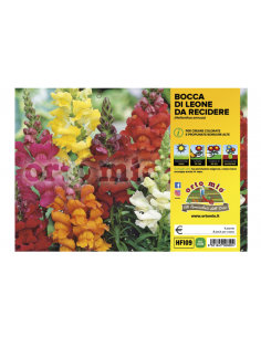 ORTO MIO - FIORI DA...