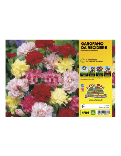 ORTO MIO - FIORI DA...