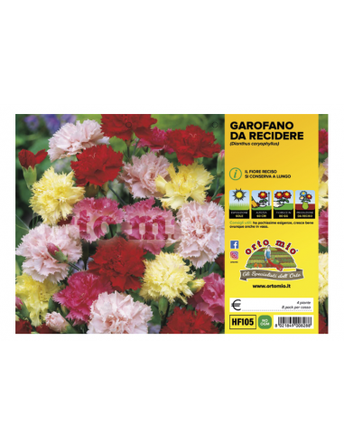 ORTO MIO - FIORI DA RECIDERE -... ORTO MIO - FIORI DA RECIDERE -...