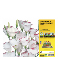 ORTO MIO - FIORI DA...