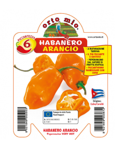 ORTO MIO - PEPERONCINO...