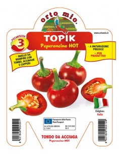 ORTO MIO - PEPERONCINO...