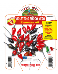 ORTO MIO - PEPERONCINO...
