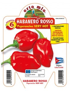 ORTO MIO - PEPERONCINO...