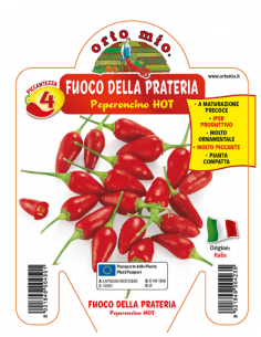 ORTO MIO - PEPERONCINO...