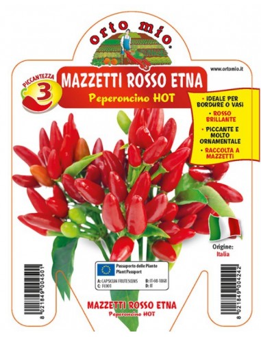 ORTO MIO - PEPERONCINO PICCANTE -... ORTO MIO - PEPERONCINO PICCANTE -...