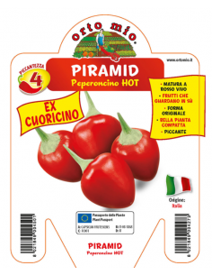 ORTO MIO - PEPERONCINO...