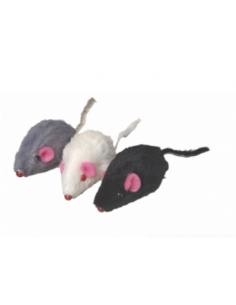 Camon gatto - Topolini...