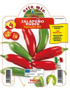 ORTO MIO - PEPERONCINO...