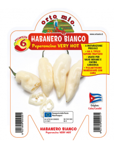 ORTO MIO - PEPERONCINO...