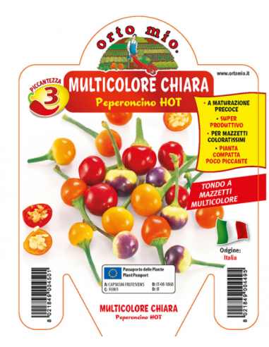 ORTO MIO - PEPERONCINO PICCANTE -... ORTO MIO - PEPERONCINO PICCANTE -...