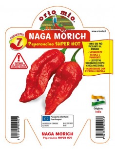 ORTO MIO - PEPERONCINO...