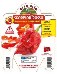 ORTO MIO - PEPERONCINO...