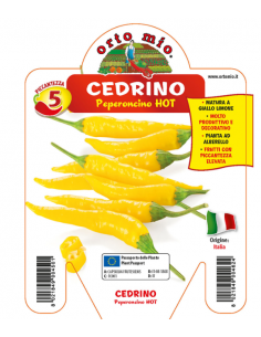 ORTO MIO - PEPERONCINO...