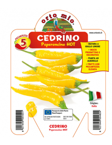 ORTO MIO - PEPERONCINO PICCANTE -... ORTO MIO - PEPERONCINO PICCANTE -...