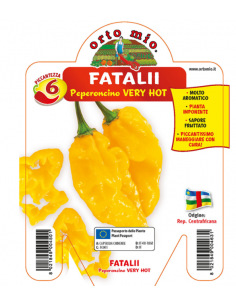 ORTO MIO - PEPERONCINO...