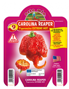 ORTO MIO - PEPERONCINO...