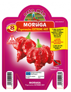 ORTO MIO - PEPERONCINO...