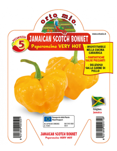 ORTO MIO - PEPERONCINO PICCANTE -... ORTO MIO - PEPERONCINO PICCANTE -...