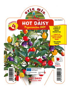 ORTO MIO - PEPERONCINO...