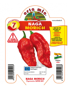 ORTO MIO - PEPERONCINO...