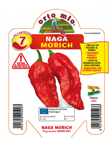 ORTO MIO - PEPERONCINO PICCANTE -... ORTO MIO - PEPERONCINO PICCANTE -...