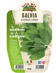 ORTO MIO - LE AROMATICHE -...