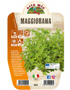 ORTO MIO - LE AROMATICHE -...