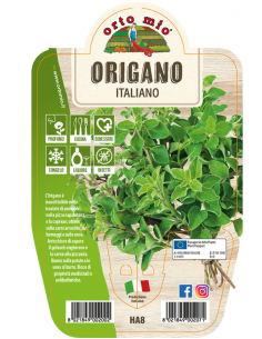 ORTO MIO - LE AROMATICHE -...