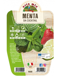 ORTO MIO - LE AROMATICHE -...