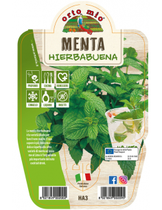 ORTO MIO - LE AROMATICHE -...