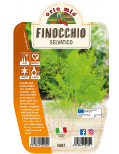 ORTO MIO - LE AROMATICHE -...