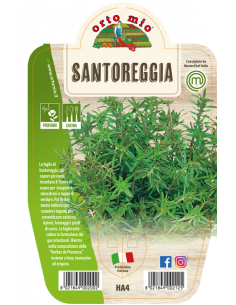 ORTO MIO - LE AROMATICHE -...