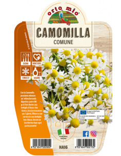 ORTO MIO - LE AROMATICHE -...