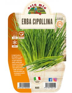 ORTO MIO - LE AROMATICHE -...