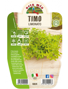 ORTO MIO - LE AROMATICHE -...