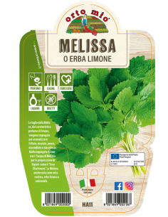 ORTO MIO - LE AROMATICHE -...