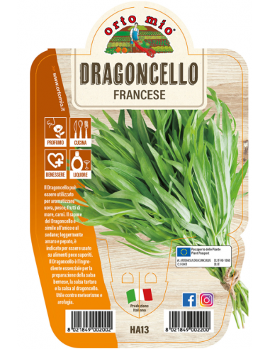 ORTO MIO - LE AROMATICHE -... ORTO MIO - LE AROMATICHE -...