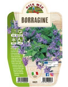 ORTO MIO - LE AROMATICHE -...