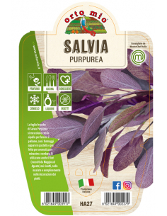 ORTO MIO - LE AROMATICHE -...