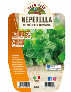 ORTO MIO - LE AROMATICHE -...