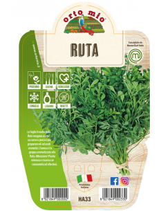 ORTO MIO - LE AROMATICHE -...