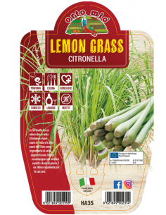 ORTO MIO - LE AROMATICHE -...