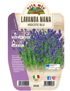 ORTO MIO - LE AROMATICHE -...