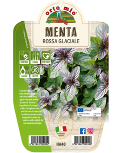 ORTO MIO - LE AROMATICHE -...