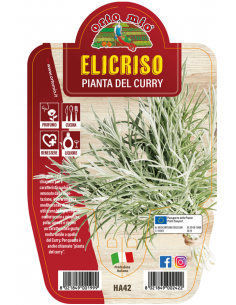 ORTO MIO - LE AROMATICHE -...