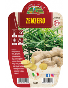 ORTO MIO - LE AROMATICHE -...