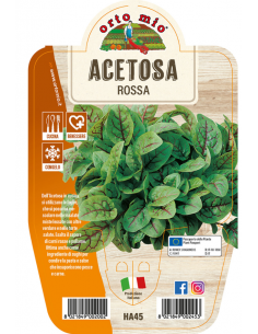 ORTO MIO - LE AROMATICHE -...